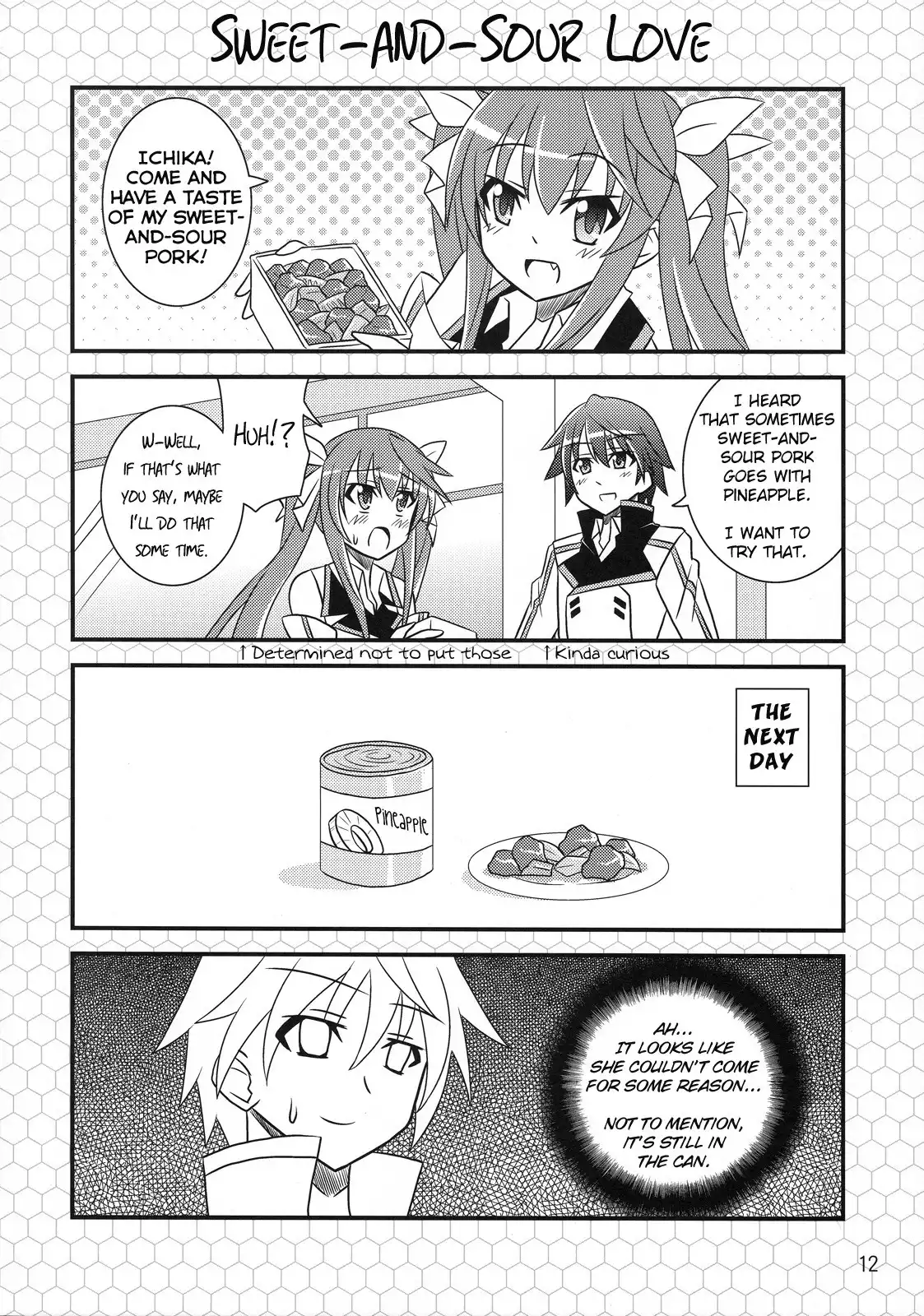 Infinite Stratos - BOOST ON!! (Doujinshi) Chapter 0 11